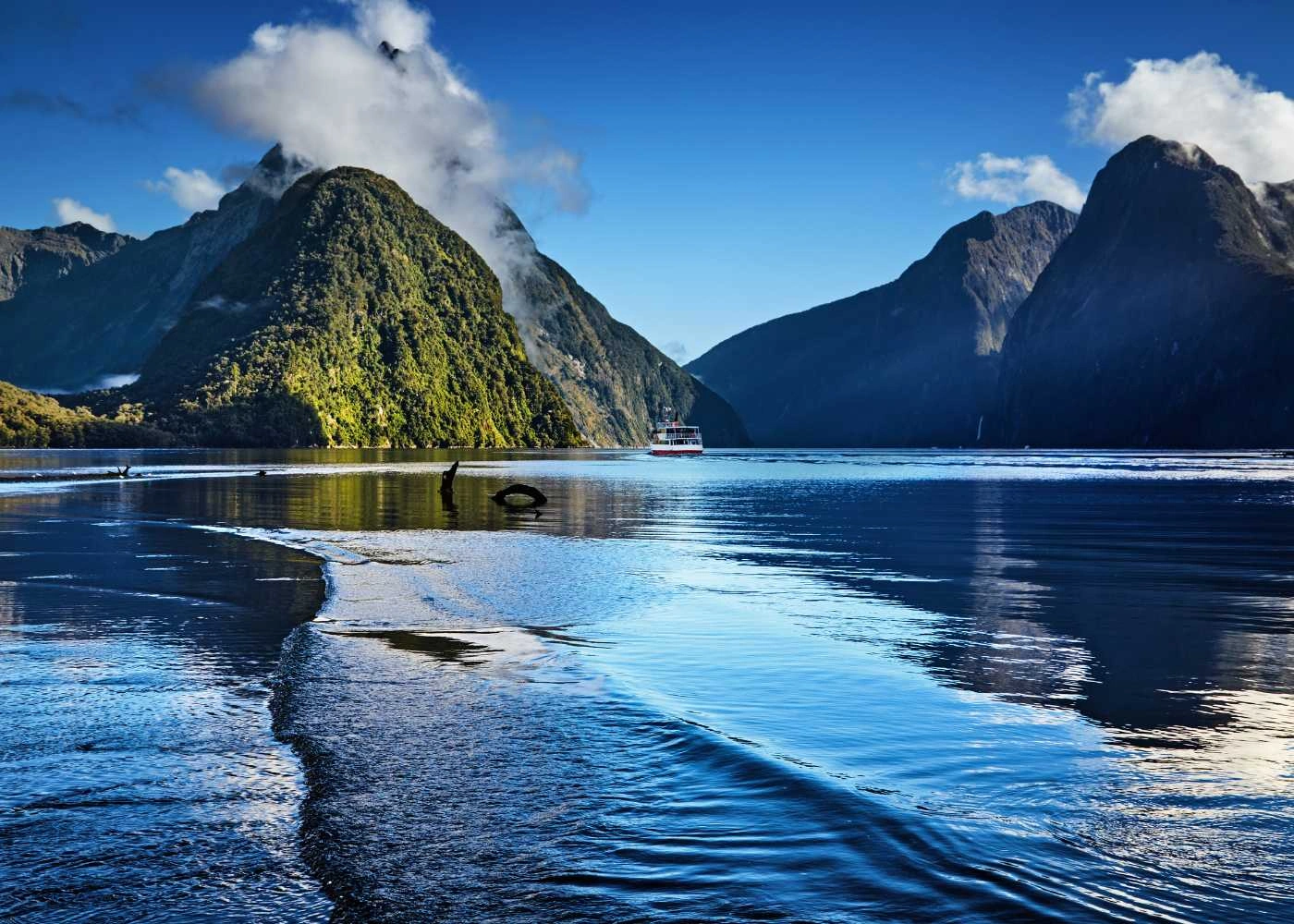 SPLENDID SOUTH - NEW ZEALAND