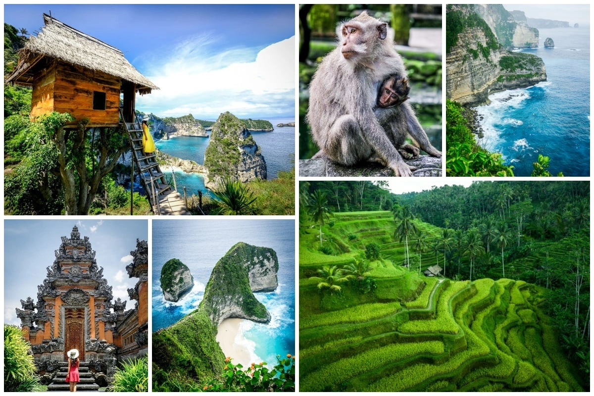 ELEGANCE OF  BALI