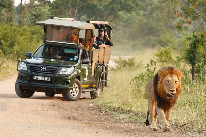 KRUGER & THE KINGDOMS