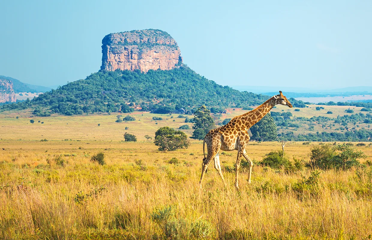 KRUGER & THE KINGDOMS
