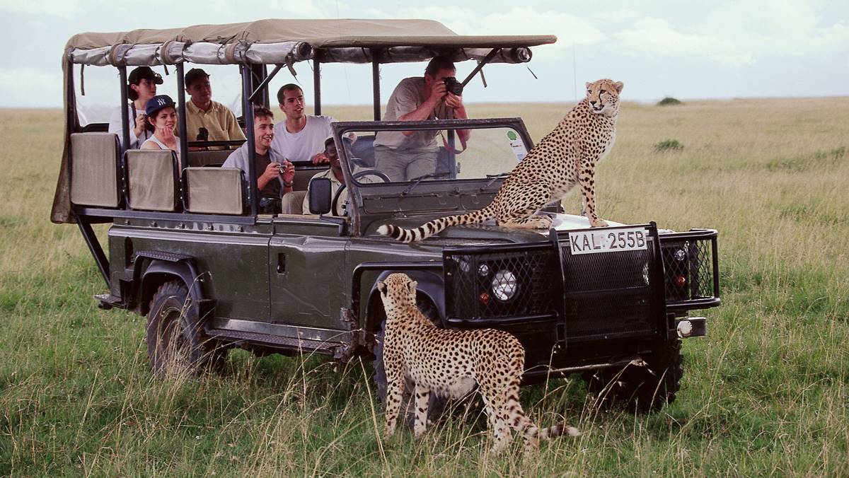 MASAI MARA SAFARI MID RANGE