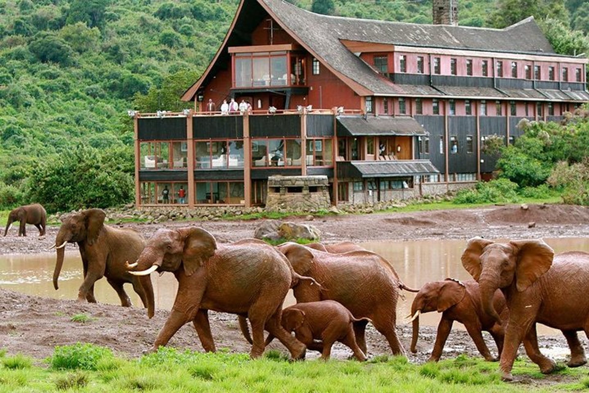 NOTHERN KENYA SAFARI