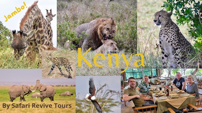 TWIGA SAFARI