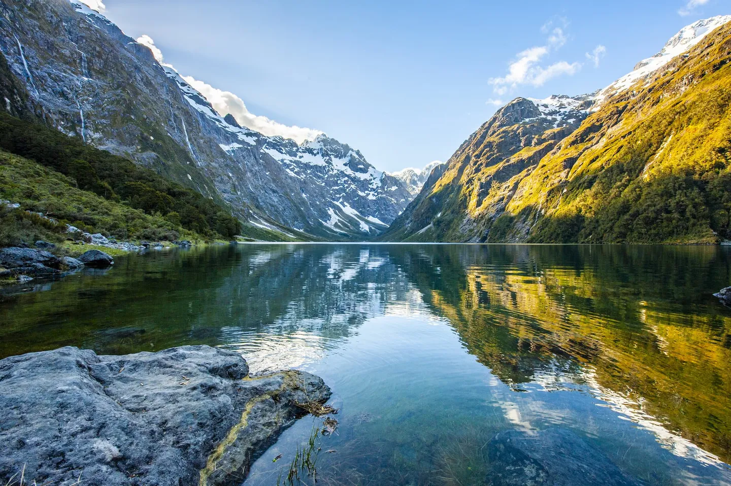 MAGNIFICIENT NEW ZEALAND SEAT IN COACH