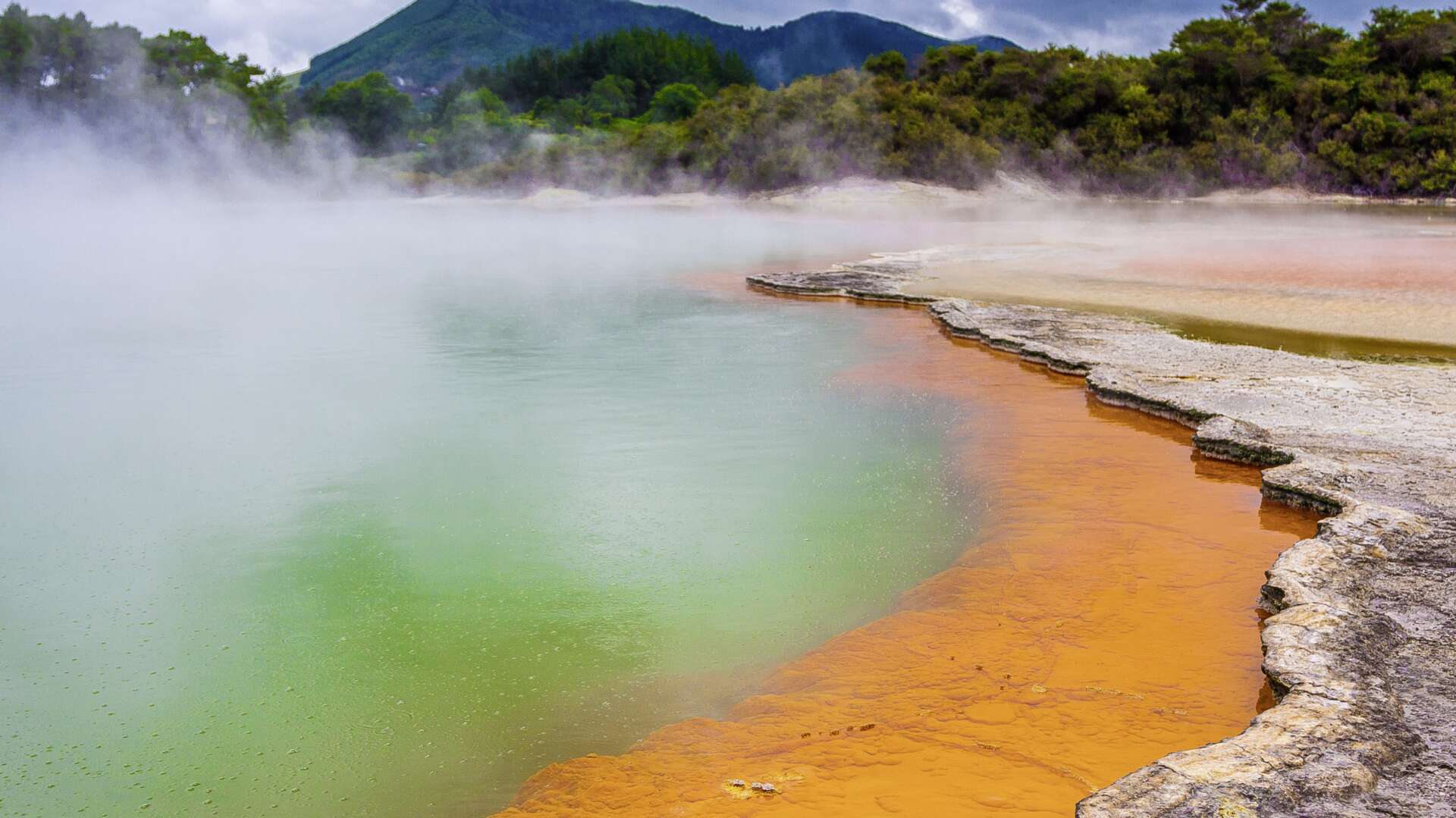 NOTHERN SPLENDOUR NEW ZEALAND  SELF DRIVE