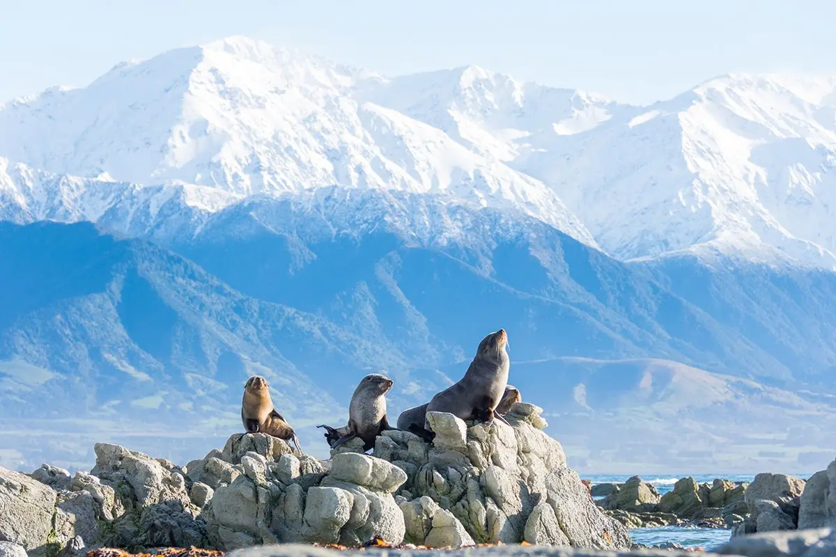 WINE & WILDERNESS OF NEW ZEALAND  SELF DRIVE