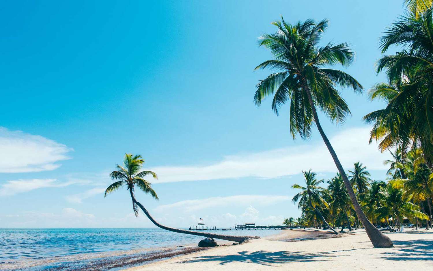 FUN FILLED FLORIDA - USA