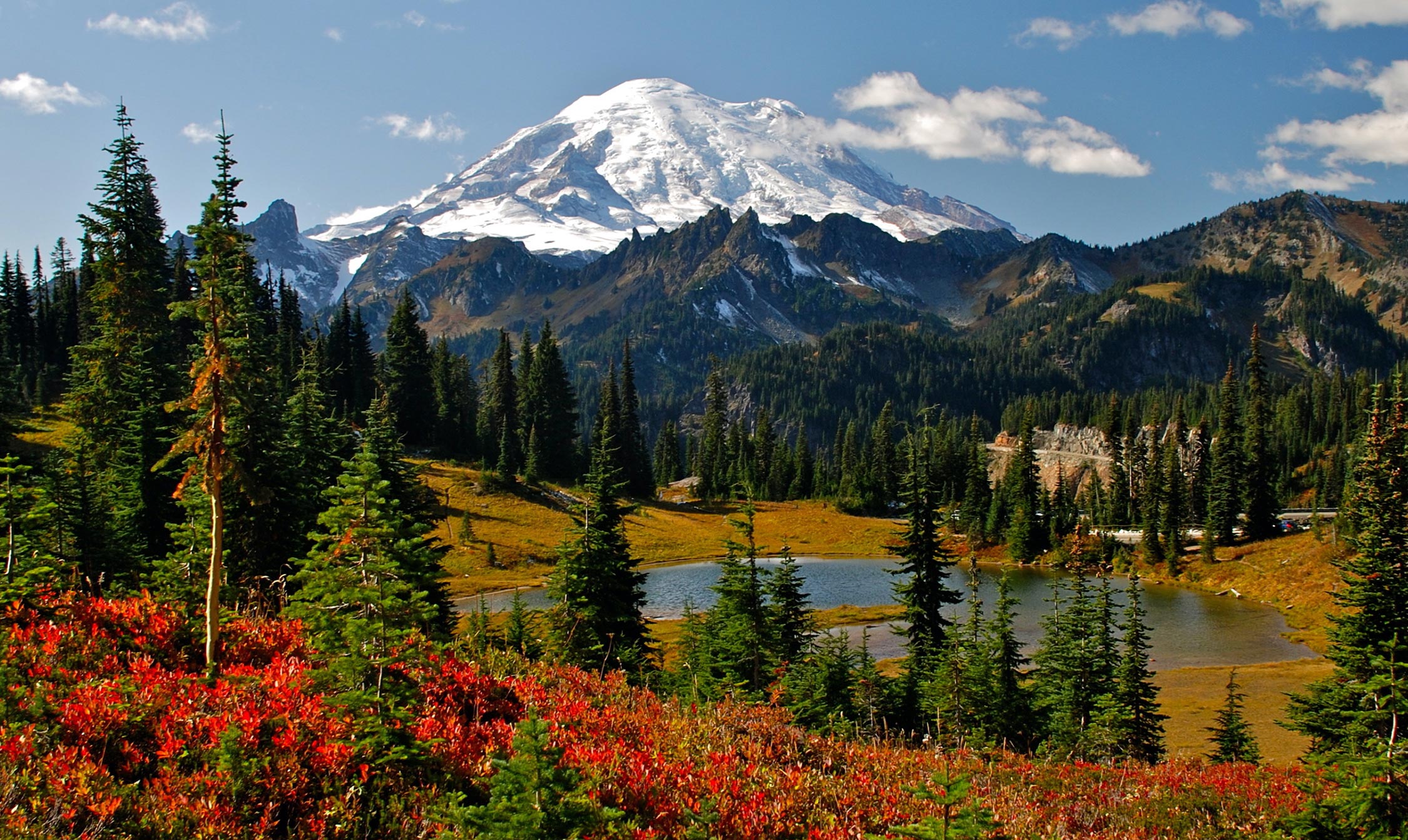 PACIFIC NORTH WEST SHARED COACH SERVICES