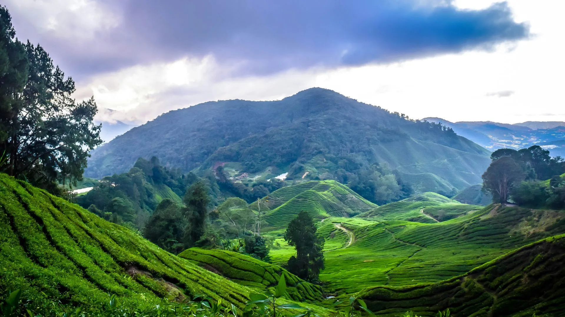 BEACH & HILL MALAYSIA