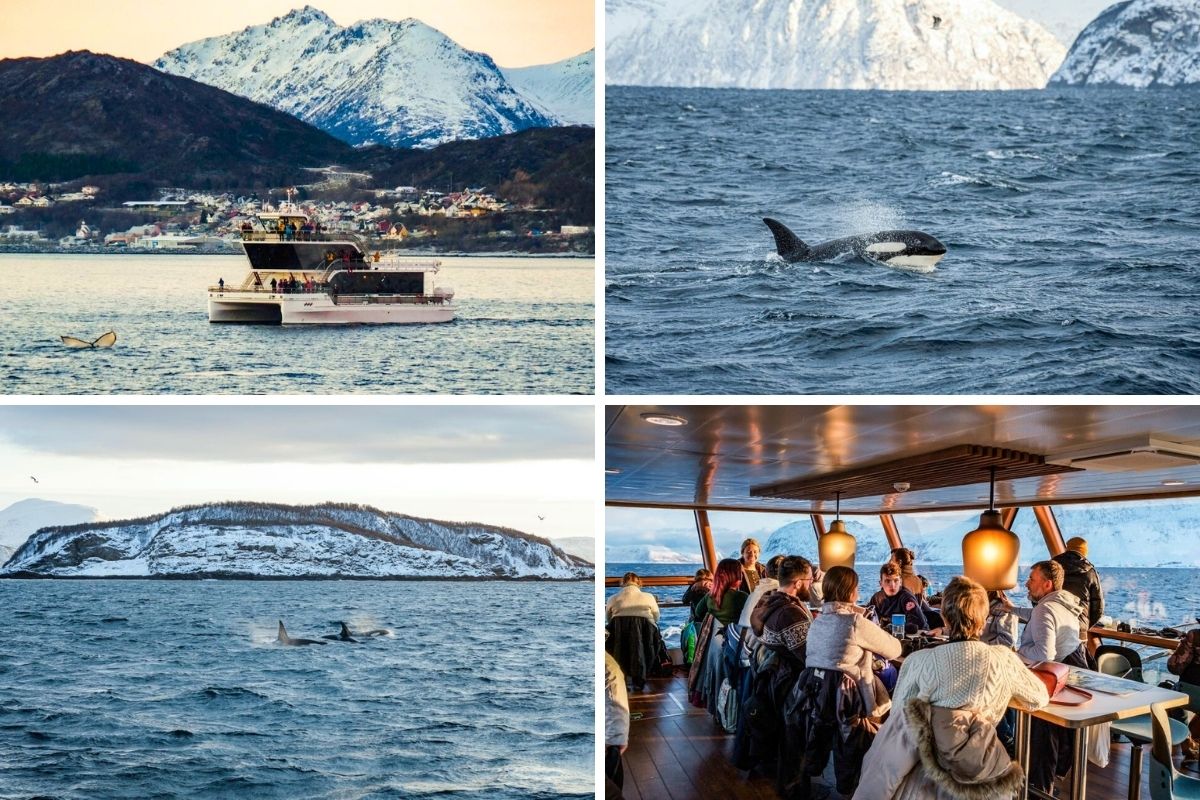 BEST OF NORTHERN NORWAY CLASSIC – 71° NORTH CAPE