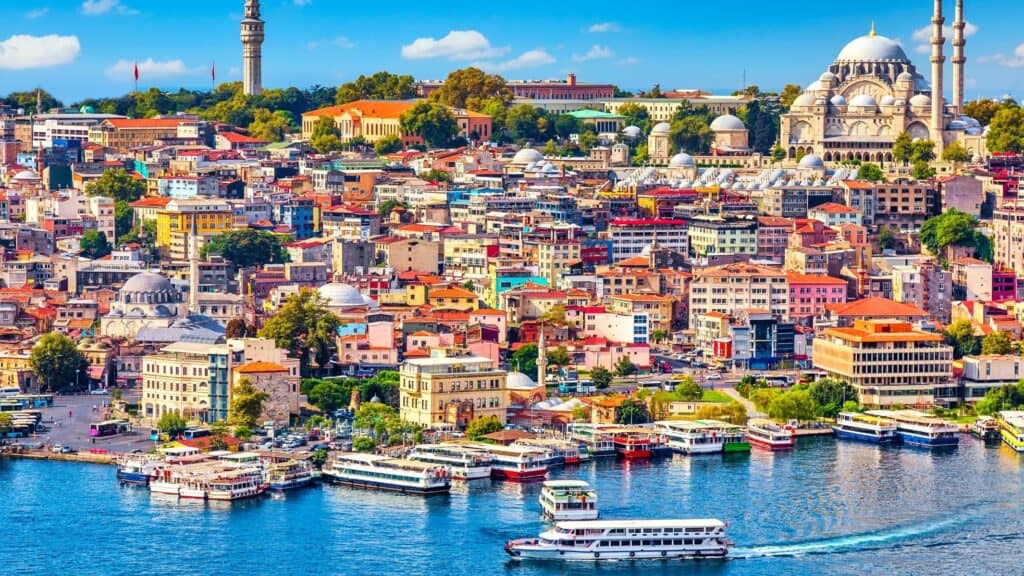 DELIGHTFUL TURKEY