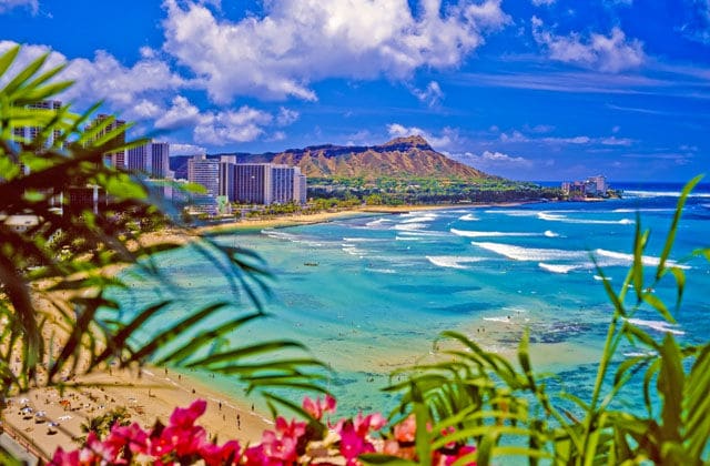 EXOTIC HONOLULU- USA