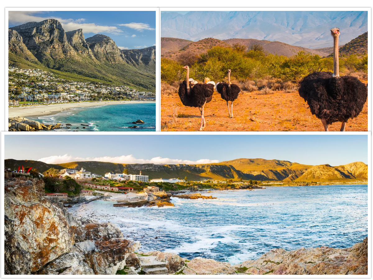 GARDEN ROUTE SAFARI & WINELAND