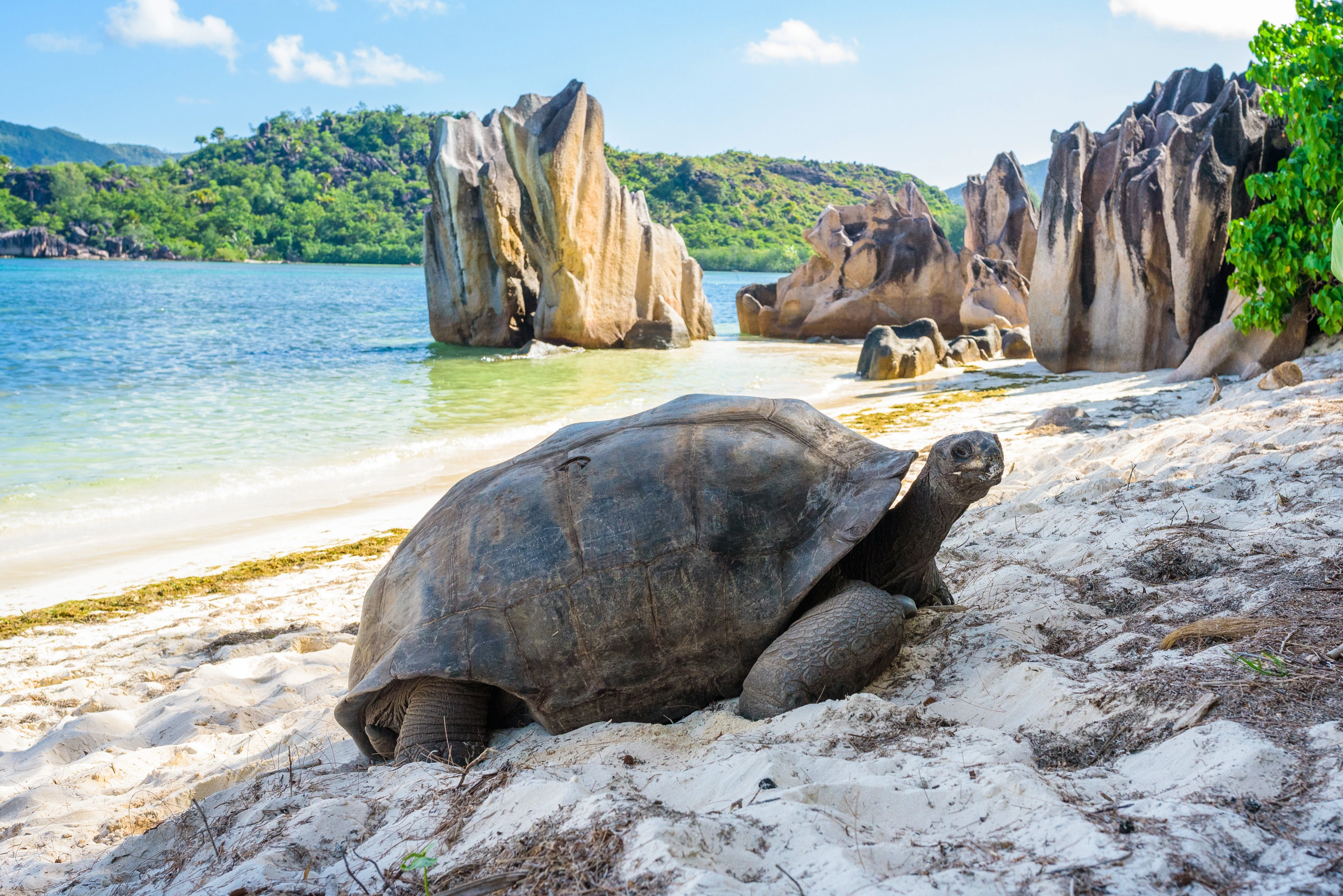 PICTURESQUE PRASLIN