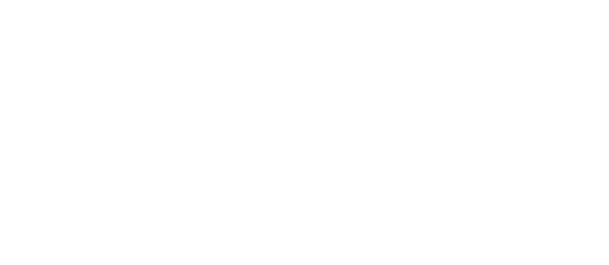Dubai Expert