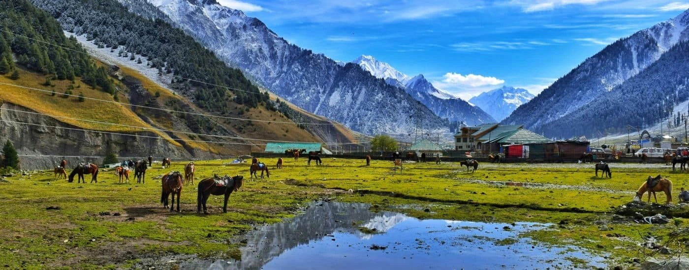Majestic Kashmir: A Blend of Nature, Adventure, and Serenity