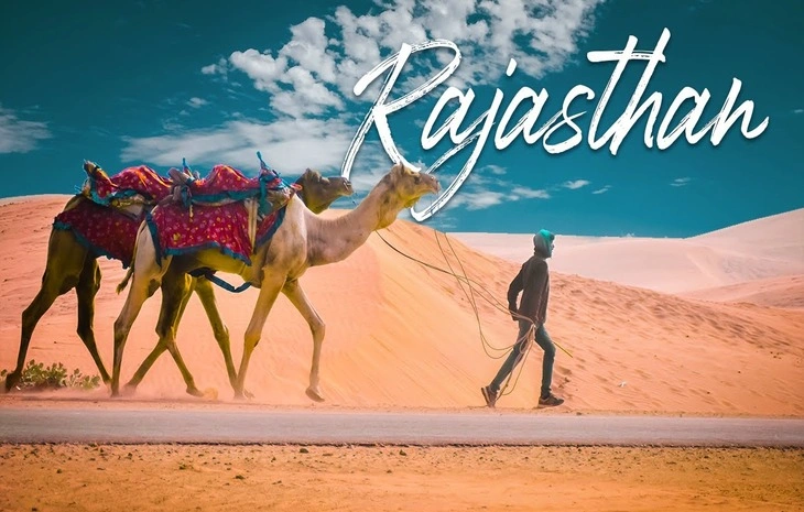 Regal Journeys: A Majestic Expedition through Rajasthan’s Royal Treasures