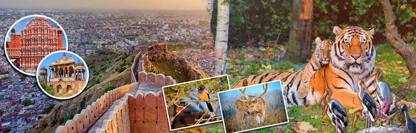 Heritage & Wilderness: Jaipur and Ranthambore Adventure