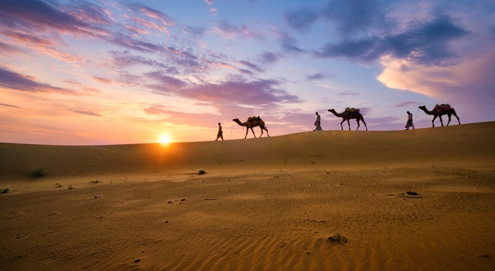 Royal Rajasthan Expedition: From Jaipur to Jaisalmer