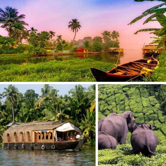 Unforgettable Kerala: 5 Days of Scenic Wonders
