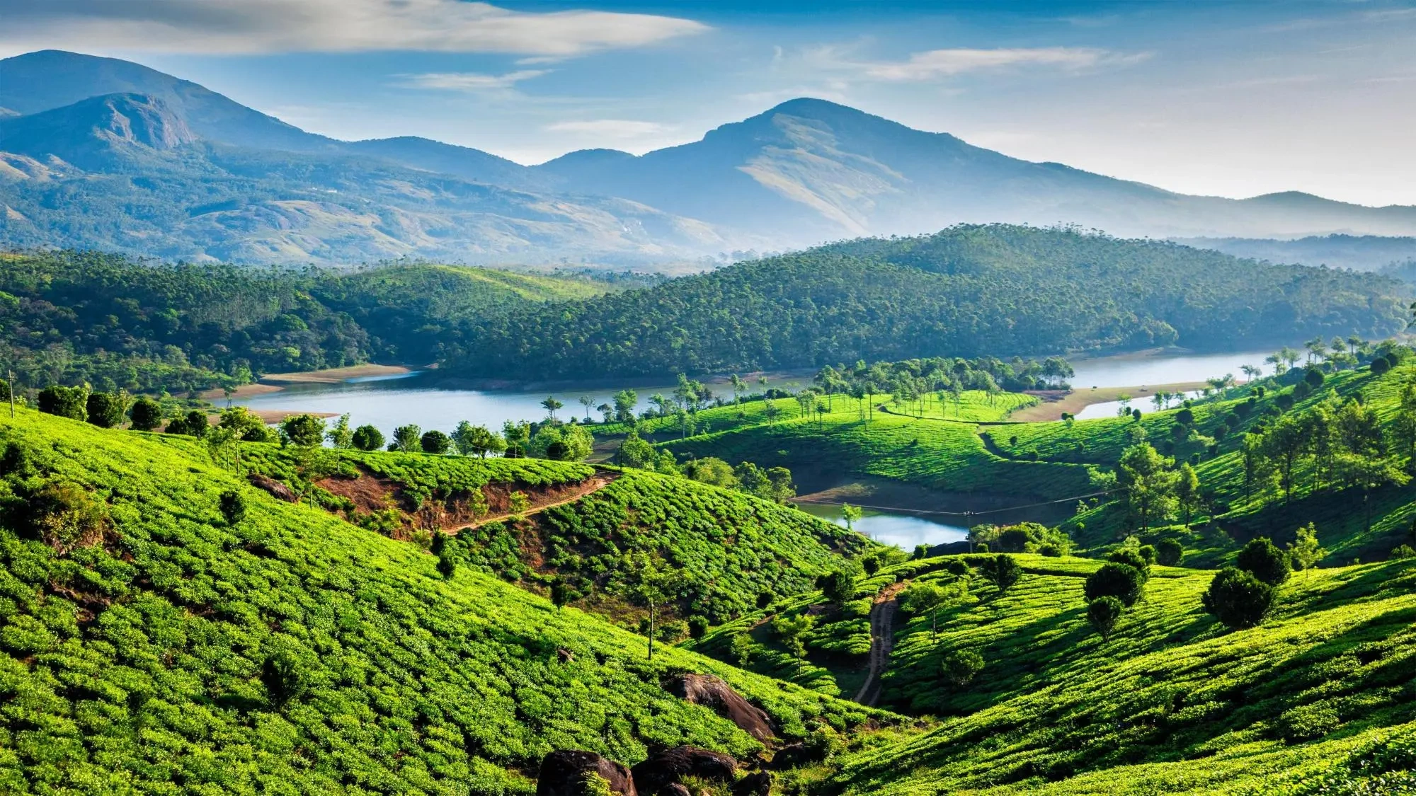 Unforgettable Kerala: 5 Days of Scenic Wonders