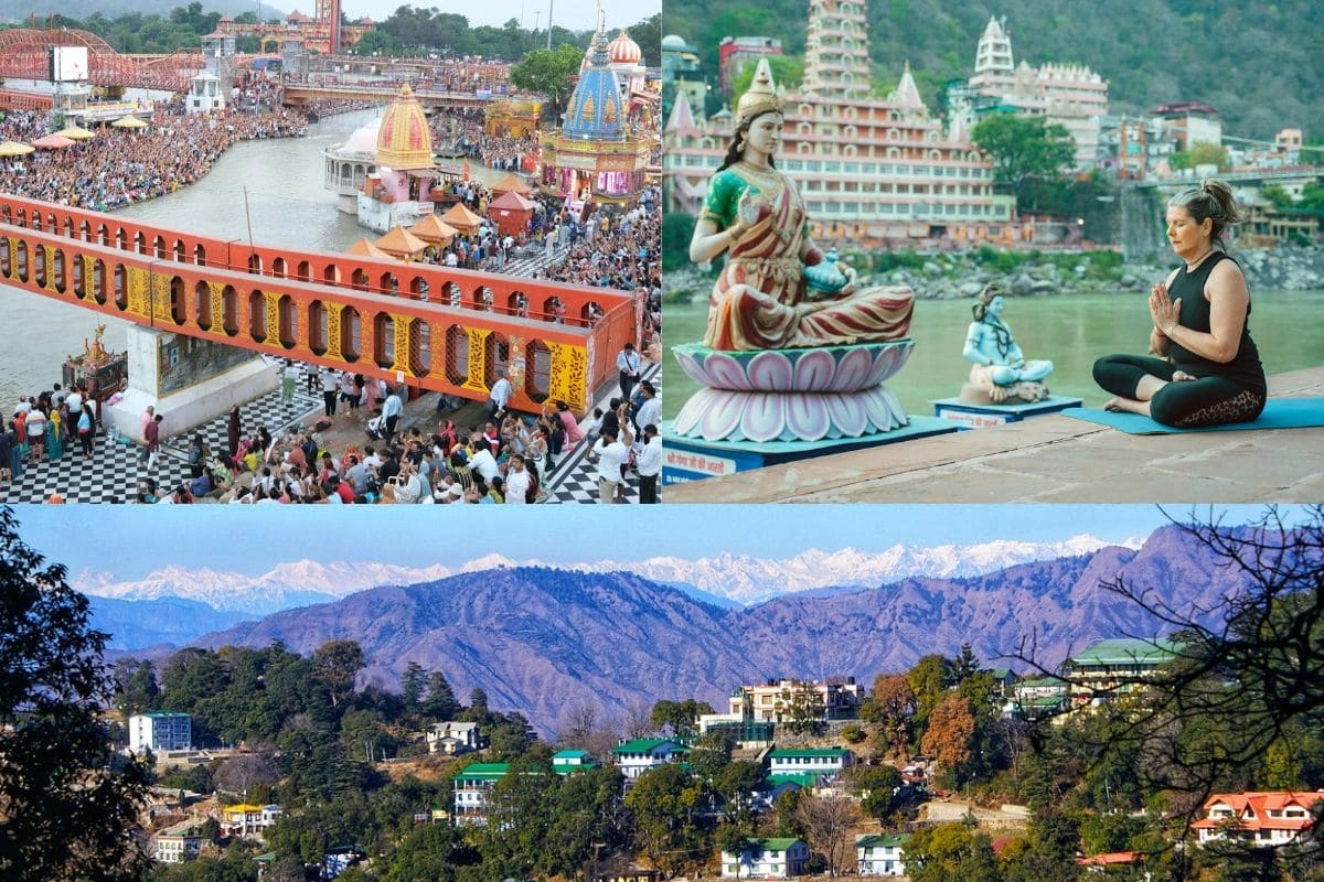 Roar of the Wild:North & Central India Tiger Expedition