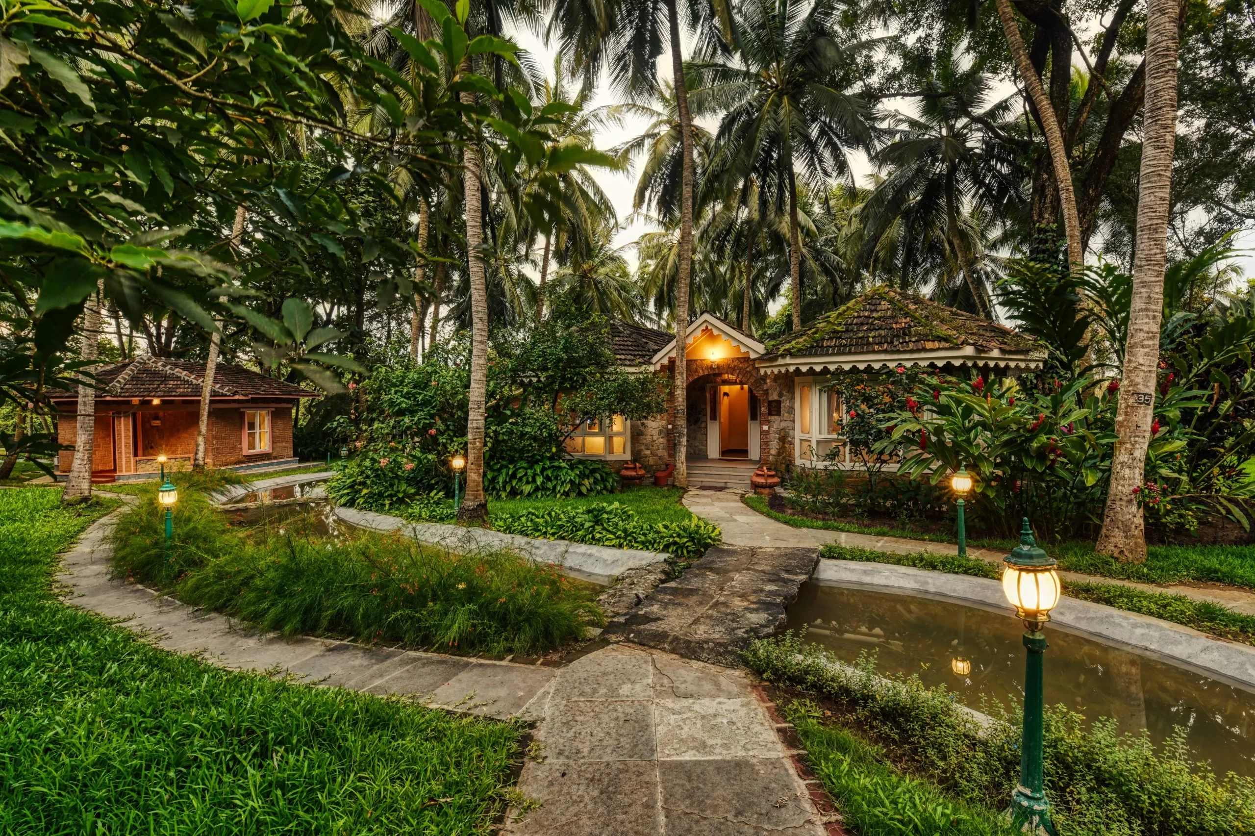 Kerala Wellness Odyssey & Ayurveda Retreat: A Journey to Rejuvenation